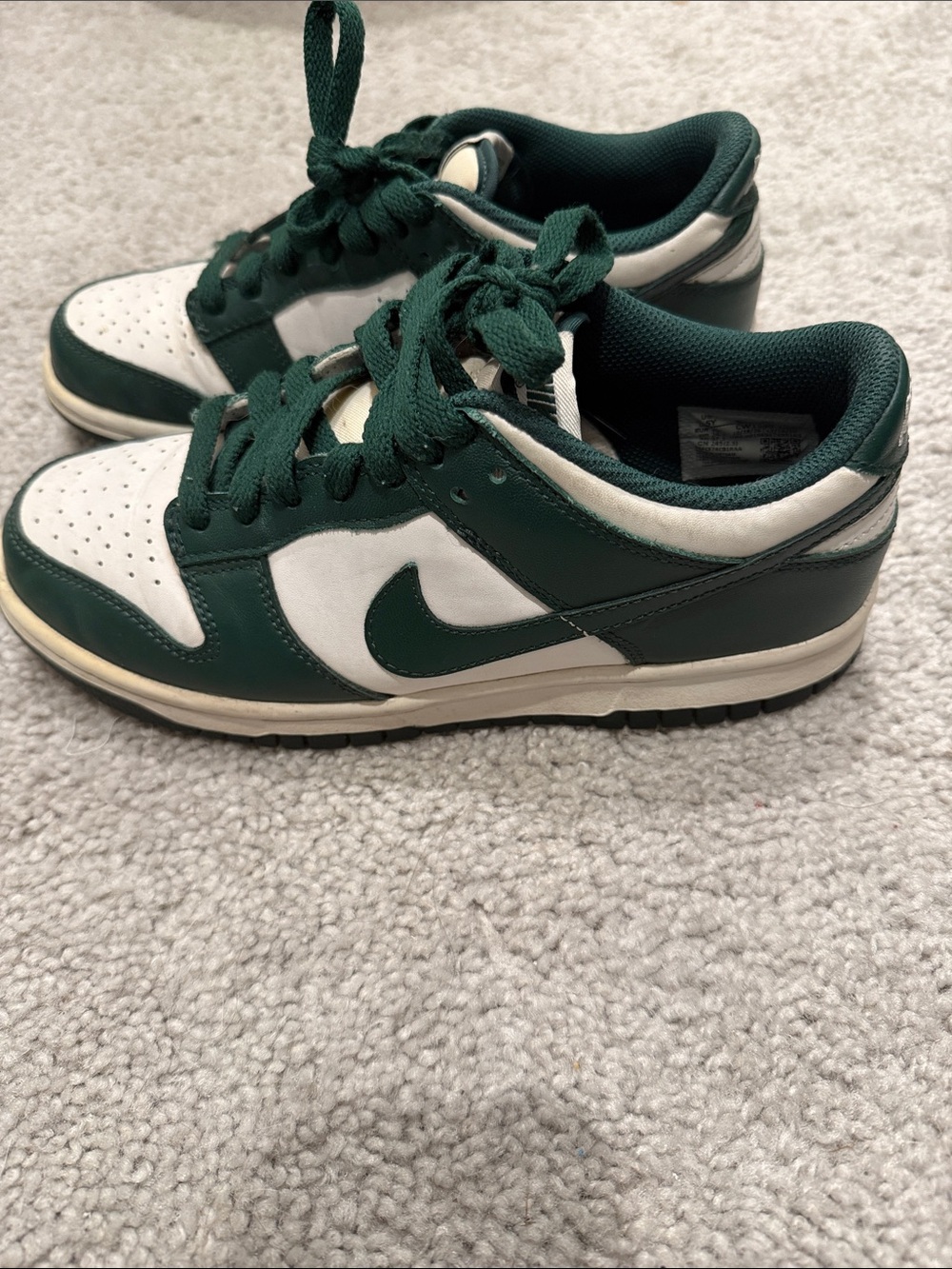 Nike Michigan State dunks